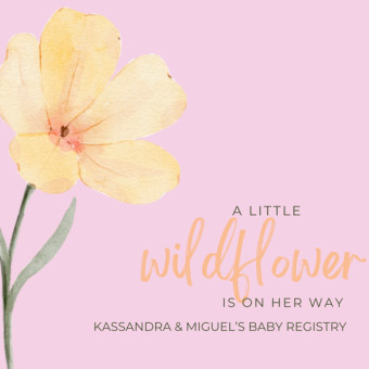 Babylist Registry Photo