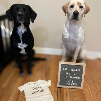 Babylist Registry Photo