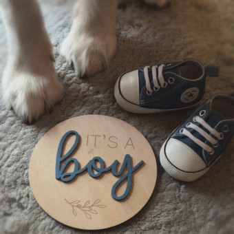 Babylist Registry Photo