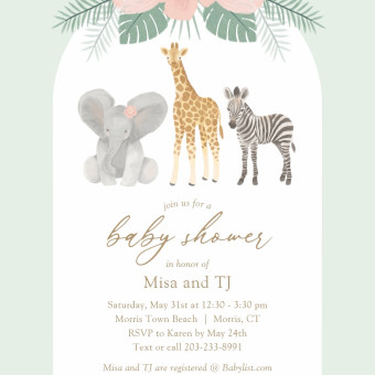 Babylist Registry Photo