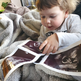 Babylist Registry Photo