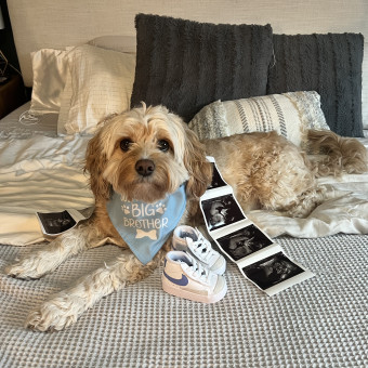 Babylist Registry Photo