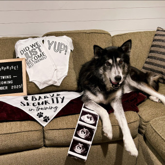 Babylist Registry Photo