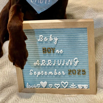 Babylist Registry Photo