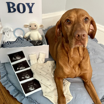 Babylist Registry Photo