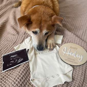 Babylist Registry Photo