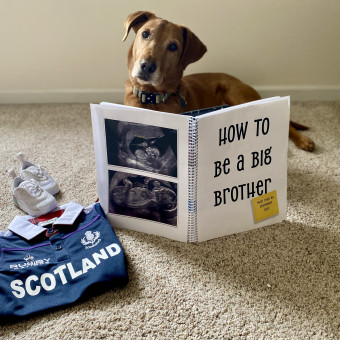 Babylist Registry Photo