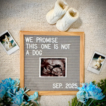 Babylist Registry Photo