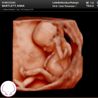 Babylist Registry Photo