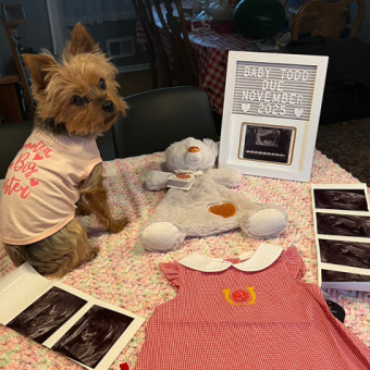 Babylist Registry Photo