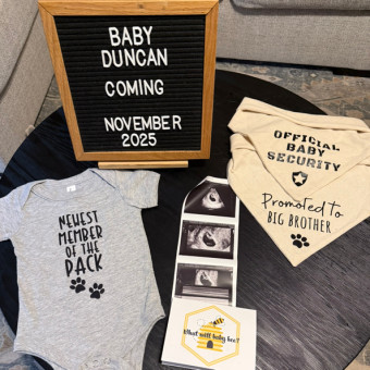 Babylist Registry Photo