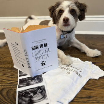 Babylist Registry Photo
