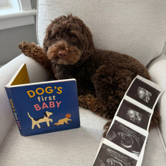 Babylist Registry Photo