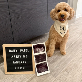 Babylist Registry Photo