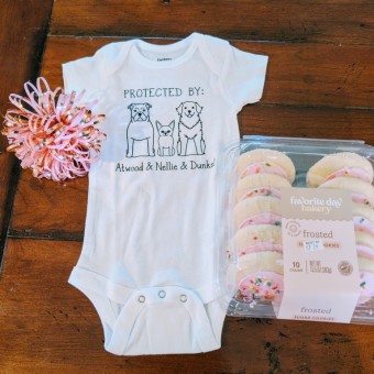 Babylist Registry Photo