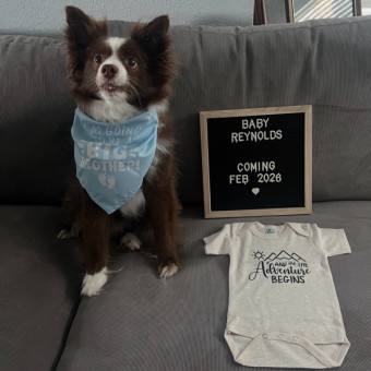 Babylist Registry Photo