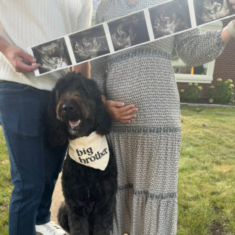 Babylist Registry Photo