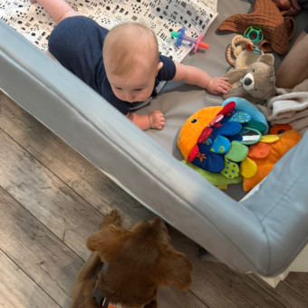 Babylist Registry Photo