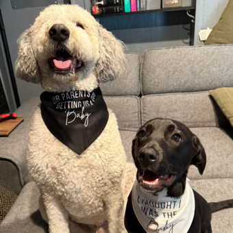 Babylist Registry Photo