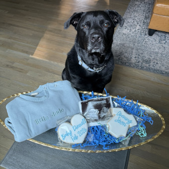 Babylist Registry Photo