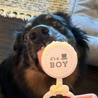 Babylist Registry Photo