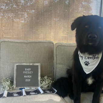 Babylist Registry Photo