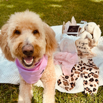 Babylist Registry Photo