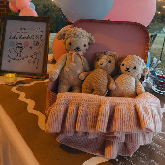 Babylist Registry Photo