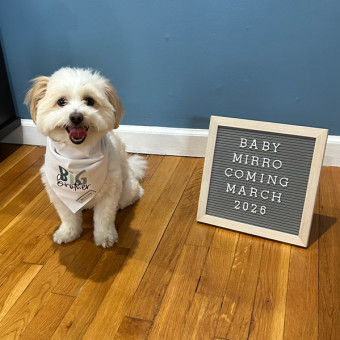 Babylist Registry Photo