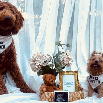 Babylist Registry Photo