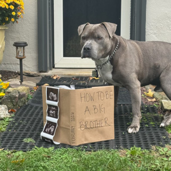 Babylist Registry Photo