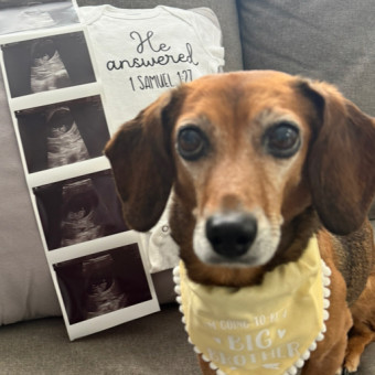 Babylist Registry Photo