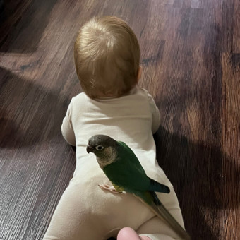 Babylist Registry Photo