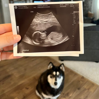 Babylist Registry Photo