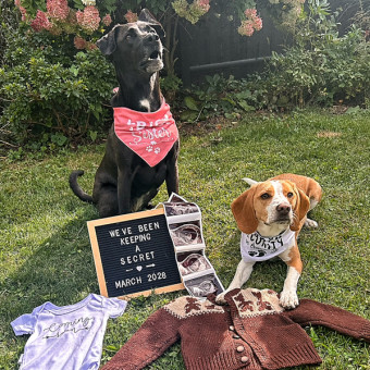 Babylist Registry Photo