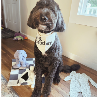 Babylist Registry Photo