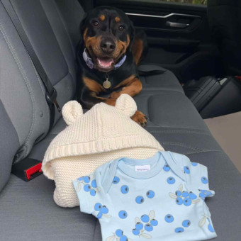 Babylist Registry Photo