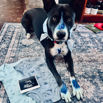 Babylist Registry Photo