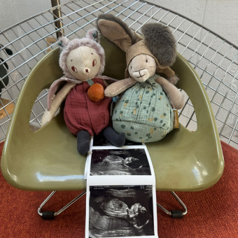 Babylist Registry Photo