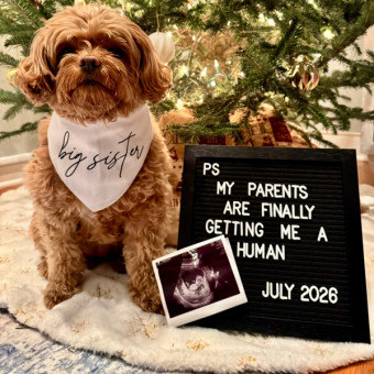 Babylist Registry Photo