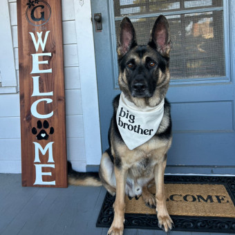 Babylist Registry Photo