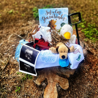 Babylist Registry Photo