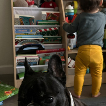 Babylist Registry Photo