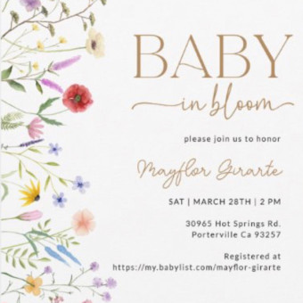 Babylist Registry Photo