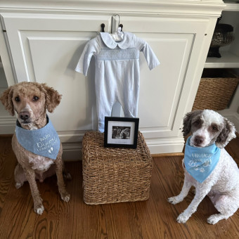 Babylist Registry Photo