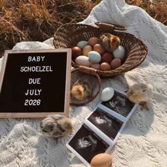 Babylist Registry Photo