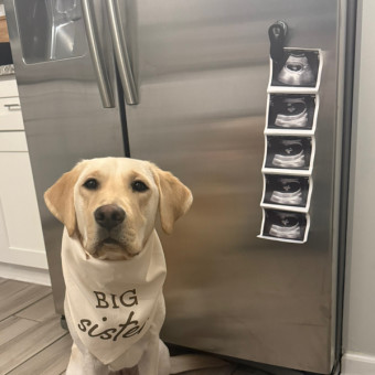 Babylist Registry Photo