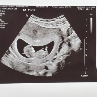 Babylist Registry Photo