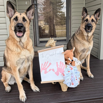 Babylist Registry Photo