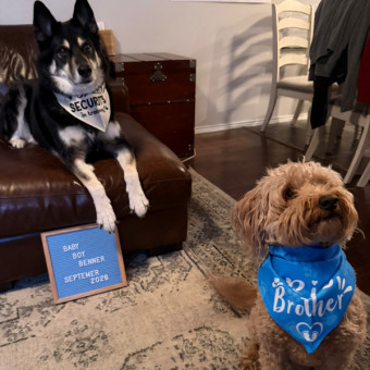 Babylist Registry Photo